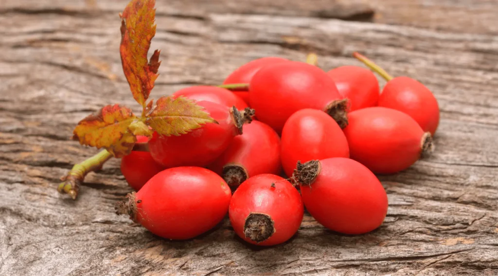 Boost Your Health: The Benefits of Vitamin C 1000mg with Rose Hips